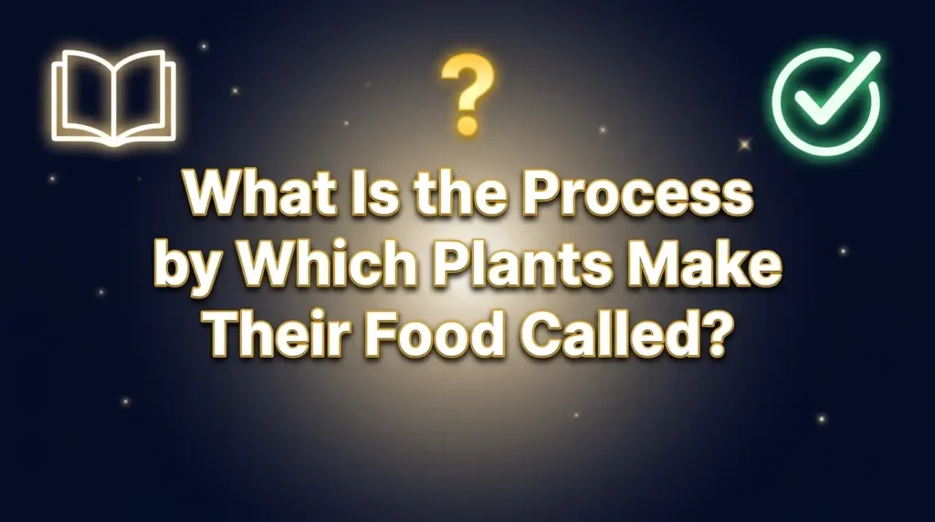 Are You Smarter Than a 5th Grader Questions and Answers