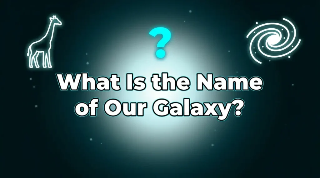 Are You Smarter Than a 5th Grader Trivia Questions