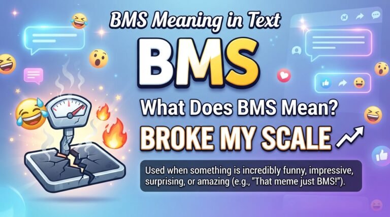 BMS Meaning in Text