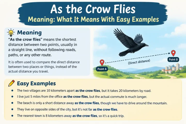 As the Crow Flies Meaning
